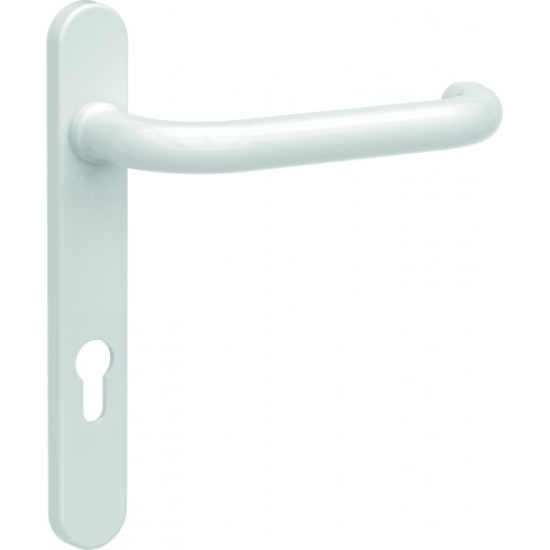 Elderly and Infirm Door Handle
